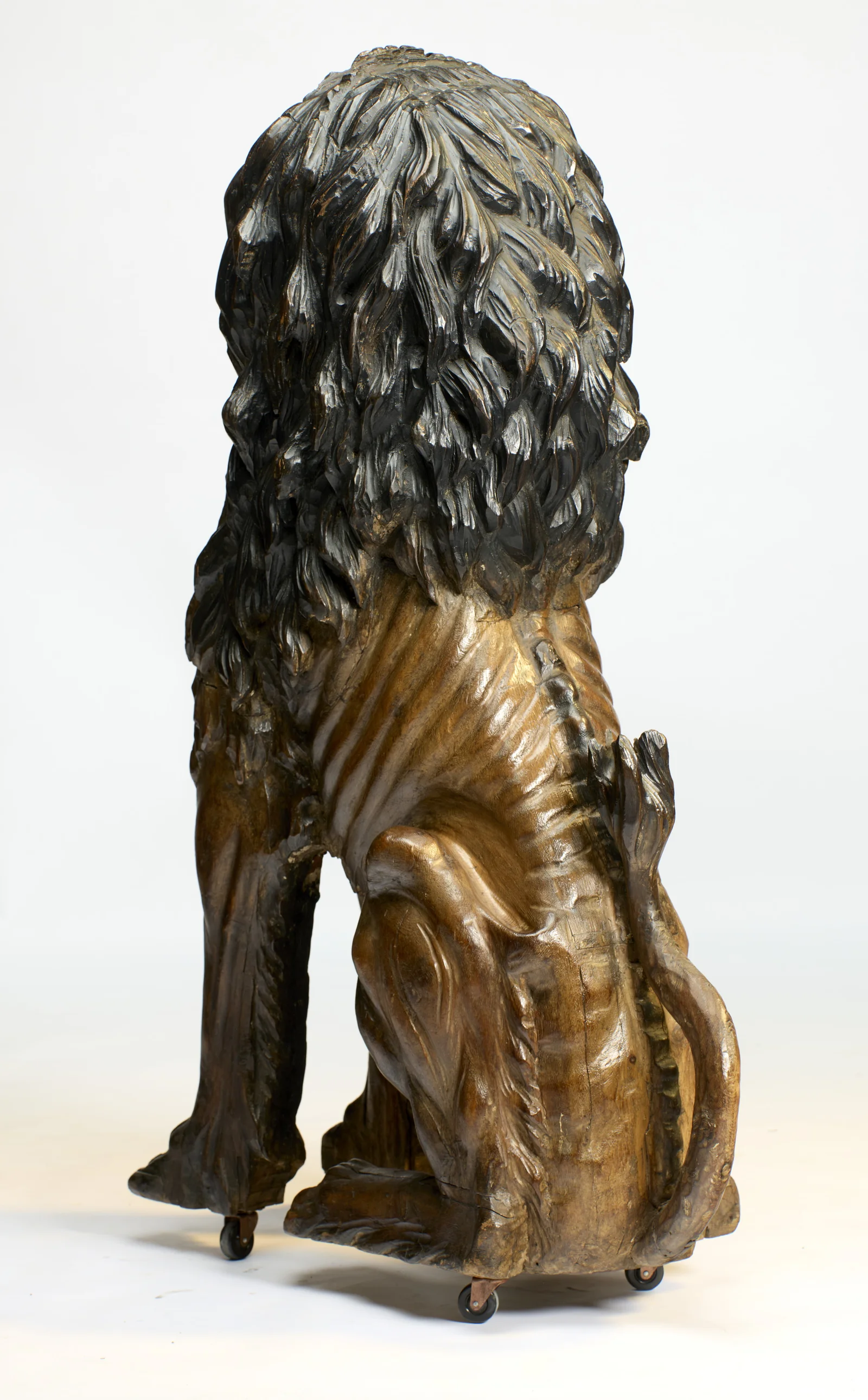 From behind, the dark-stained locks of the mane fall the full length of the back, the tail sweeping across the base below.