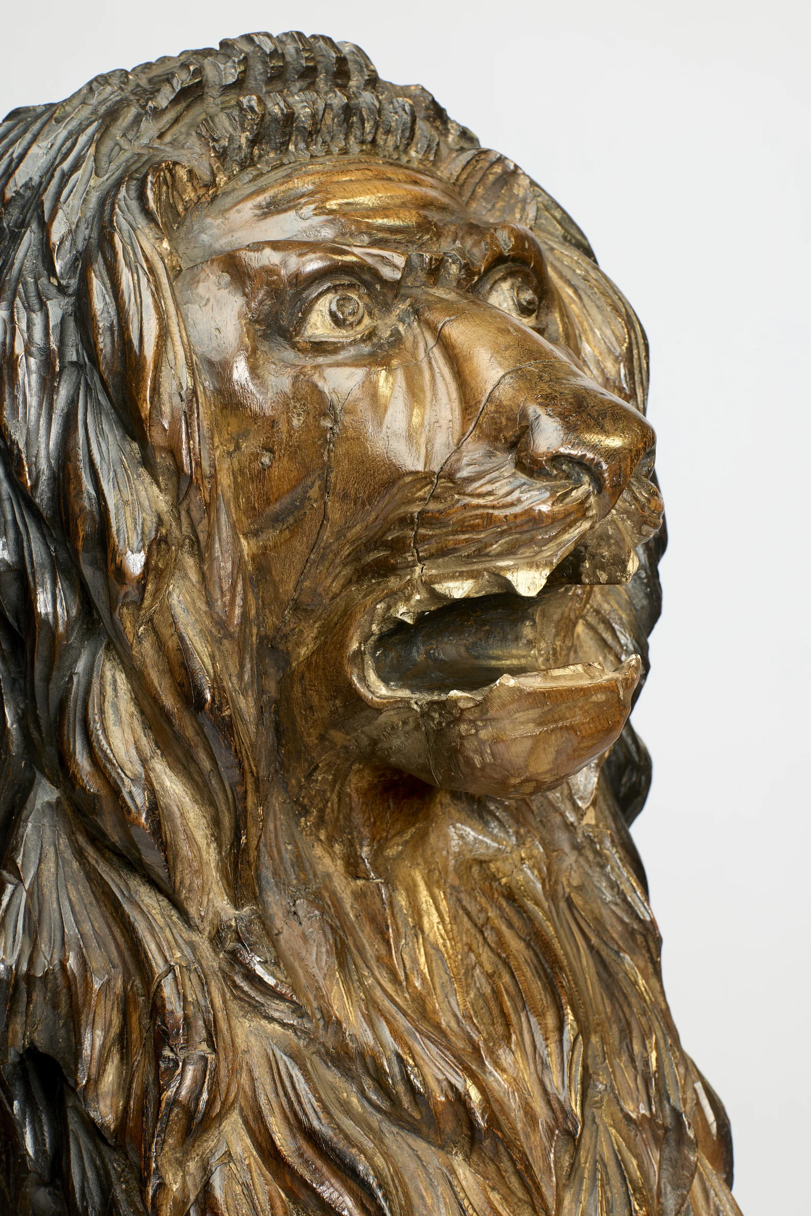 Three-quarter study of the head, with old shrinkage cracks visible across the muzzle and cheek.
