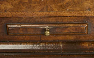 A slide with turned brass knob set below the door, within feather-banded veneer.