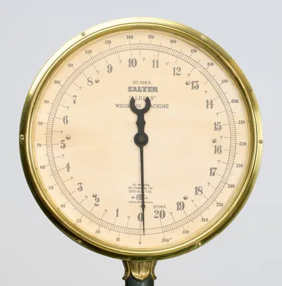 Printed "No. 214.S SALTER 'ALBION' WEIGHING MACHINE", reading to 20 stone by 1 lb and 280 lb by 1 lb, "MADE IN ENGLAND" below, with a blackened pointer inside the polished brass bezel.