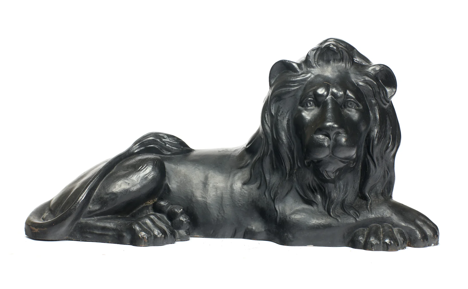The face frontal with open eyes, the long mane parting around the muzzle and falling to the chest.