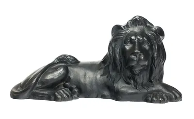 The face frontal with open eyes, the long mane parting around the muzzle and falling to the chest.