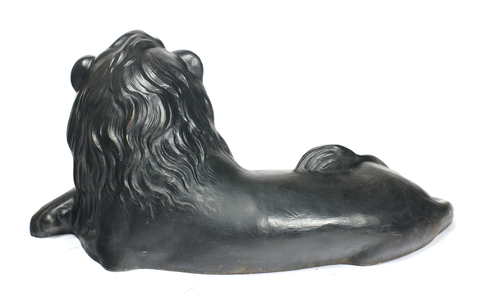 From behind, the mane covering the back of the head and shoulders, the hindquarters smooth with the tail tuft lying over the haunch.