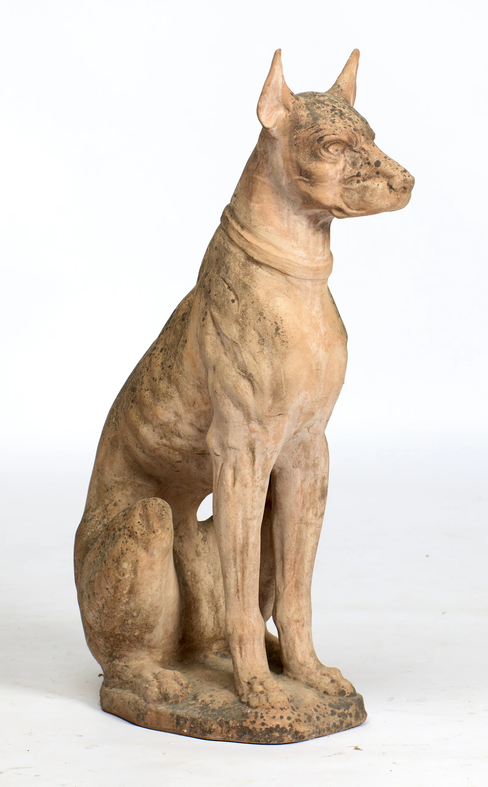 The dog seated alert on its oval base, the deep chest and gathered haunches in full view.