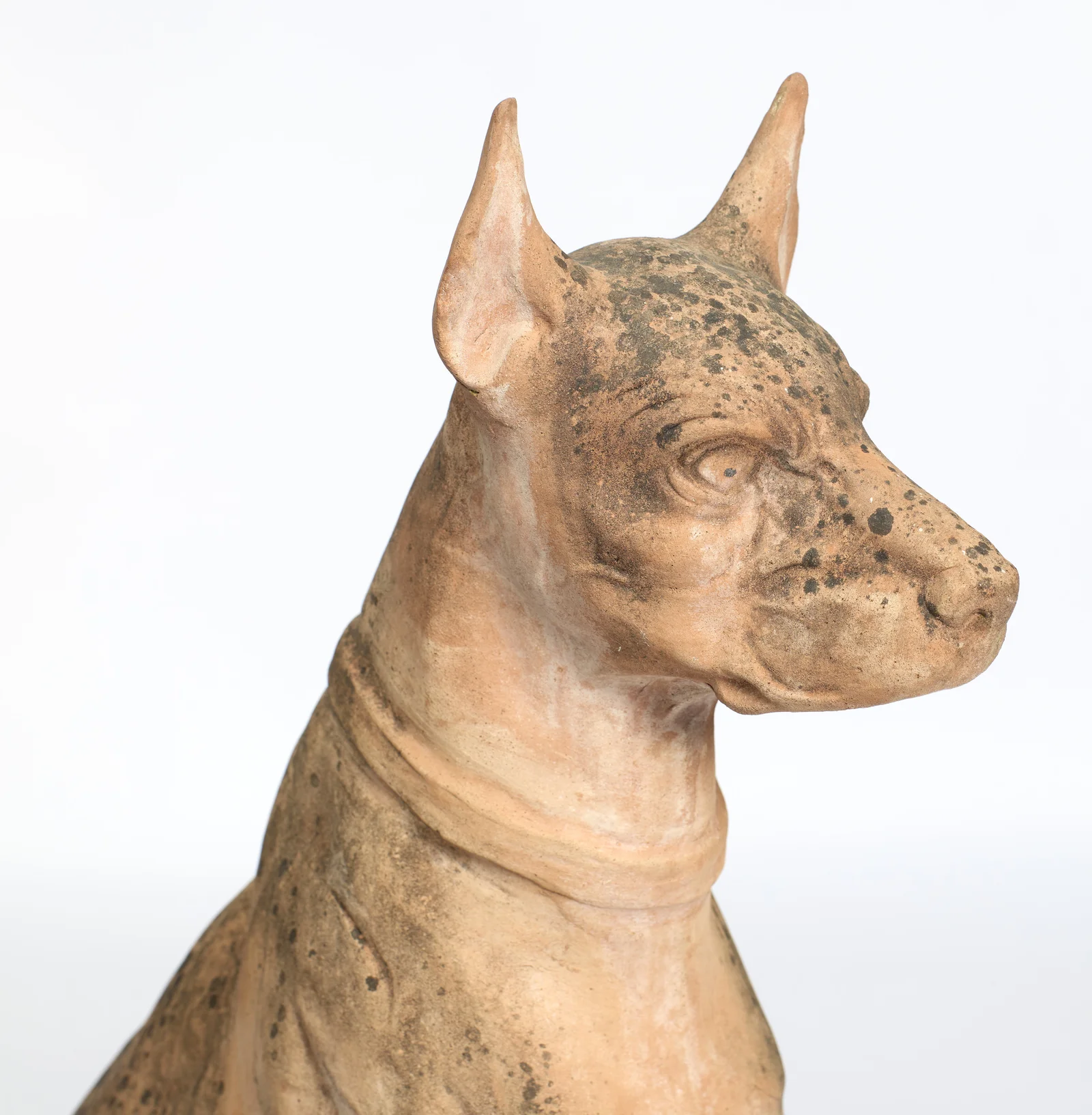 The carved eye sits deep beneath its brow, with dark weathering freckling the crown and cheek.