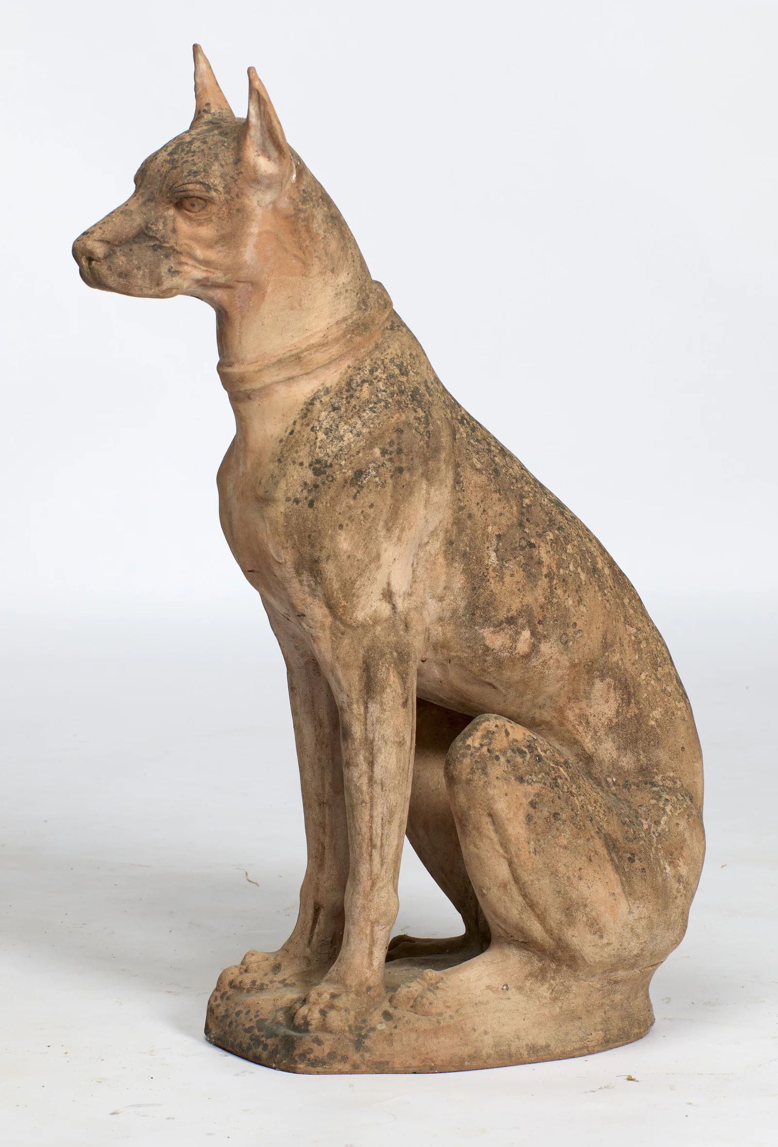 The muzzle is carried level above a deep chest, with the hind leg folded close beneath the body.