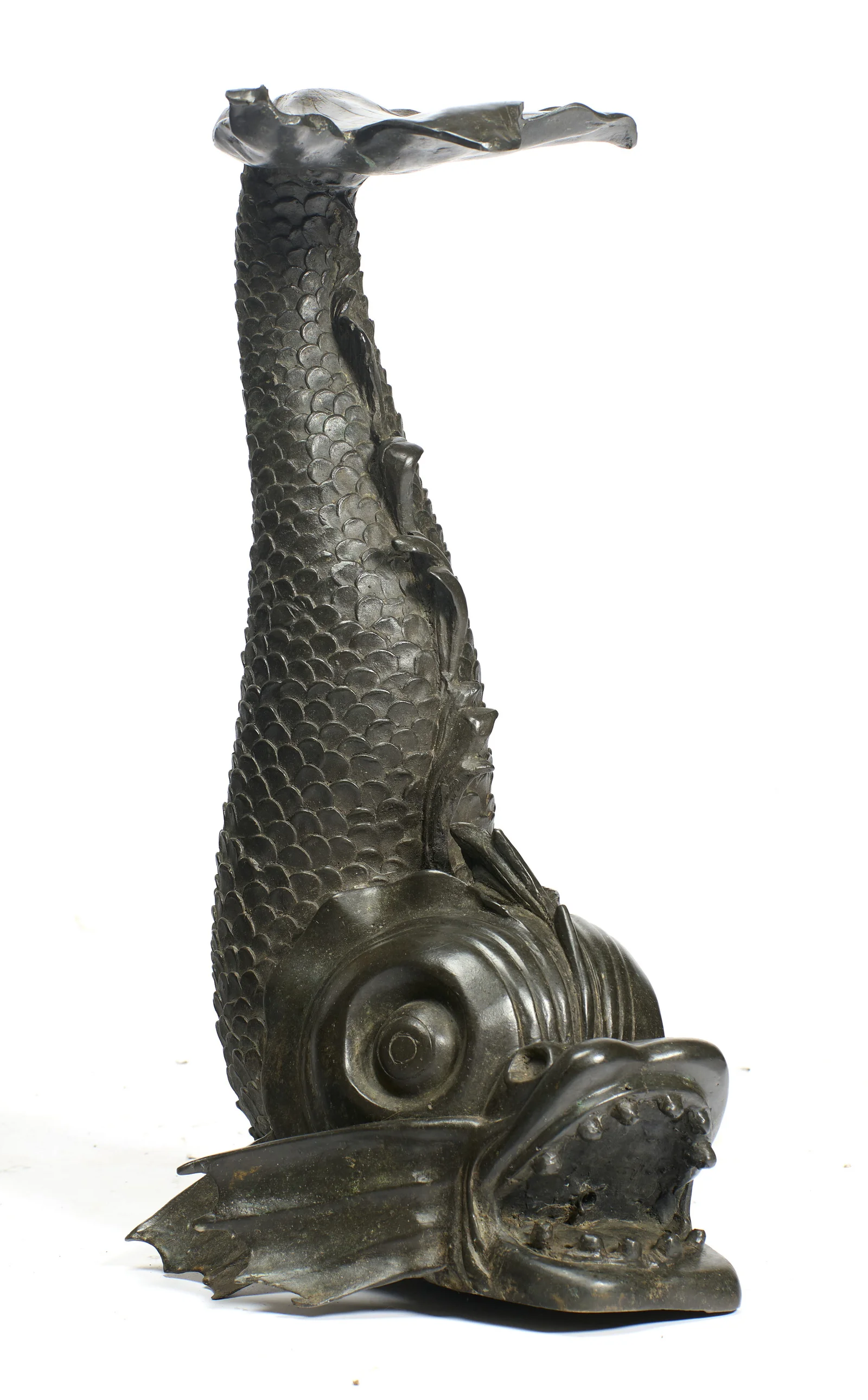 The body rises in a tight S-curve from the gaping head, the thin-edged leaf tilting out over the upturned tail.