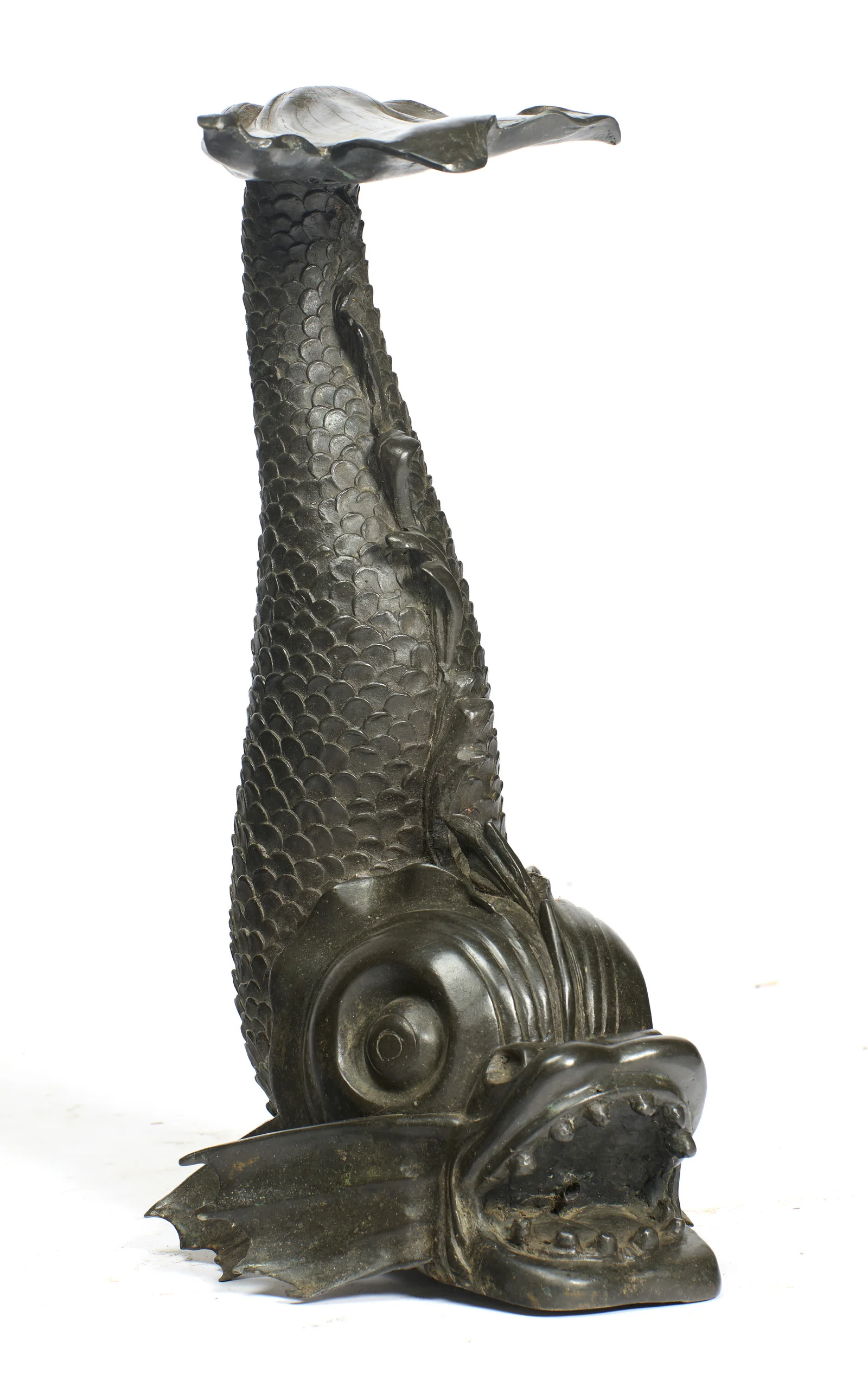 The upper face of the leaf shows radiating veins and a curled stem at its lip, above the open mouth and spread fins.