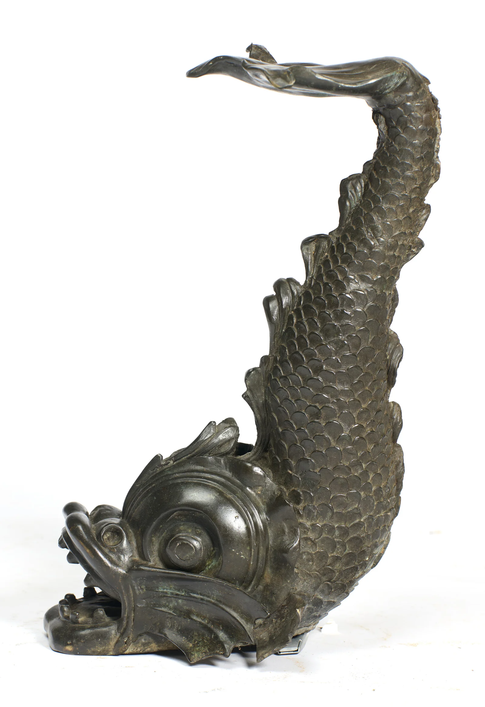 Close view of the overlapping scales and leafy dorsal fringe rising to the tail, the eye set in a bold spiral boss below.